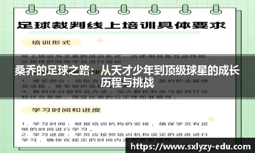 桑乔的足球之路：从天才少年到顶级球星的成长历程与挑战